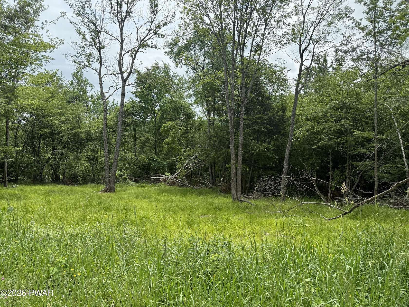 15 Acres of Recreational Land for Sale in Lakewood, Pennsylvania