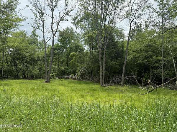 15 Acres of Recreational Land for Sale in Lakewood, Pennsylvania