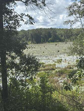 0.75 Acres of Residential Land for Sale in DeFuniak Springs, Florida