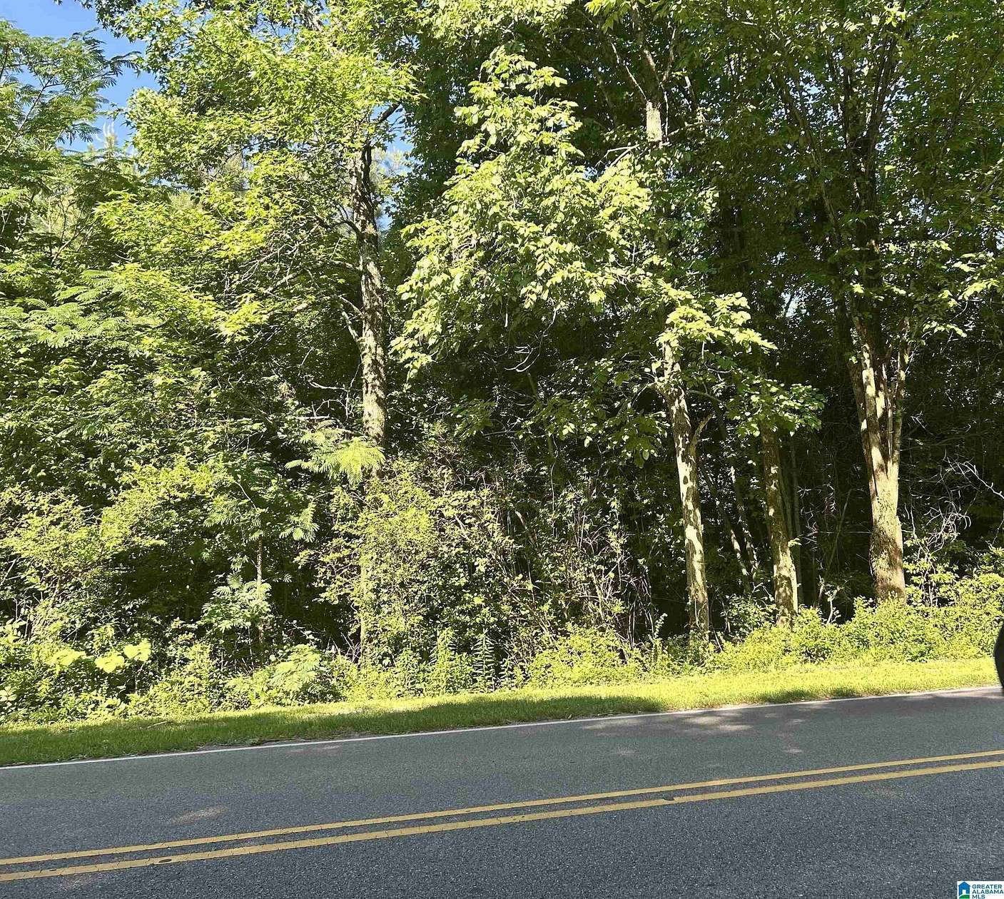 0.45 Acres of Residential Land for Sale in Hoover, Alabama