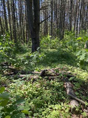 1 Acre of Residential Land for Sale in Minocqua, Wisconsin