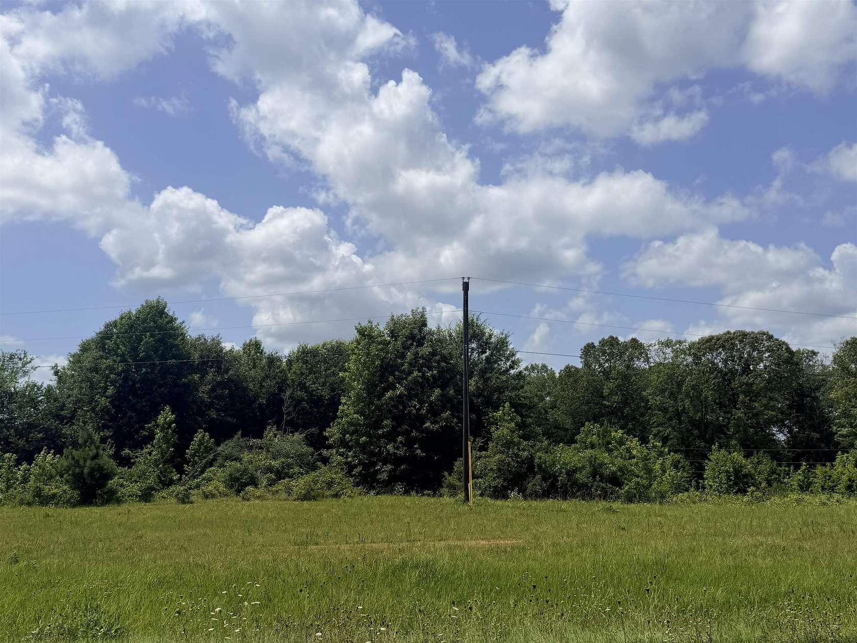 30 Acres of Recreational & Residential Land for Sale in Carthage, Texas