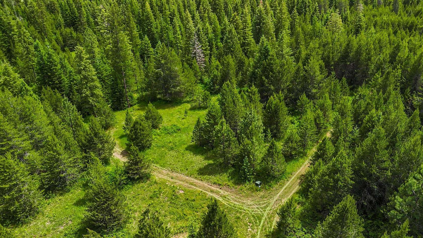 40 Acres of Recreational & Residential Land for Sale in Elk, Washington