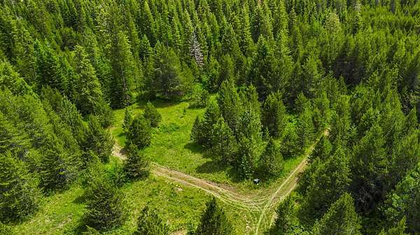 40 Acres of Recreational & Residential Land for Sale in Elk, Washington