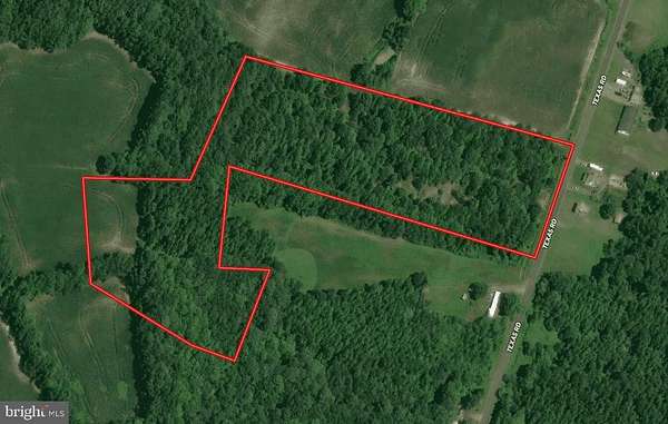 13.8 Acres of Recreational Land for Sale in Bivalve, Maryland