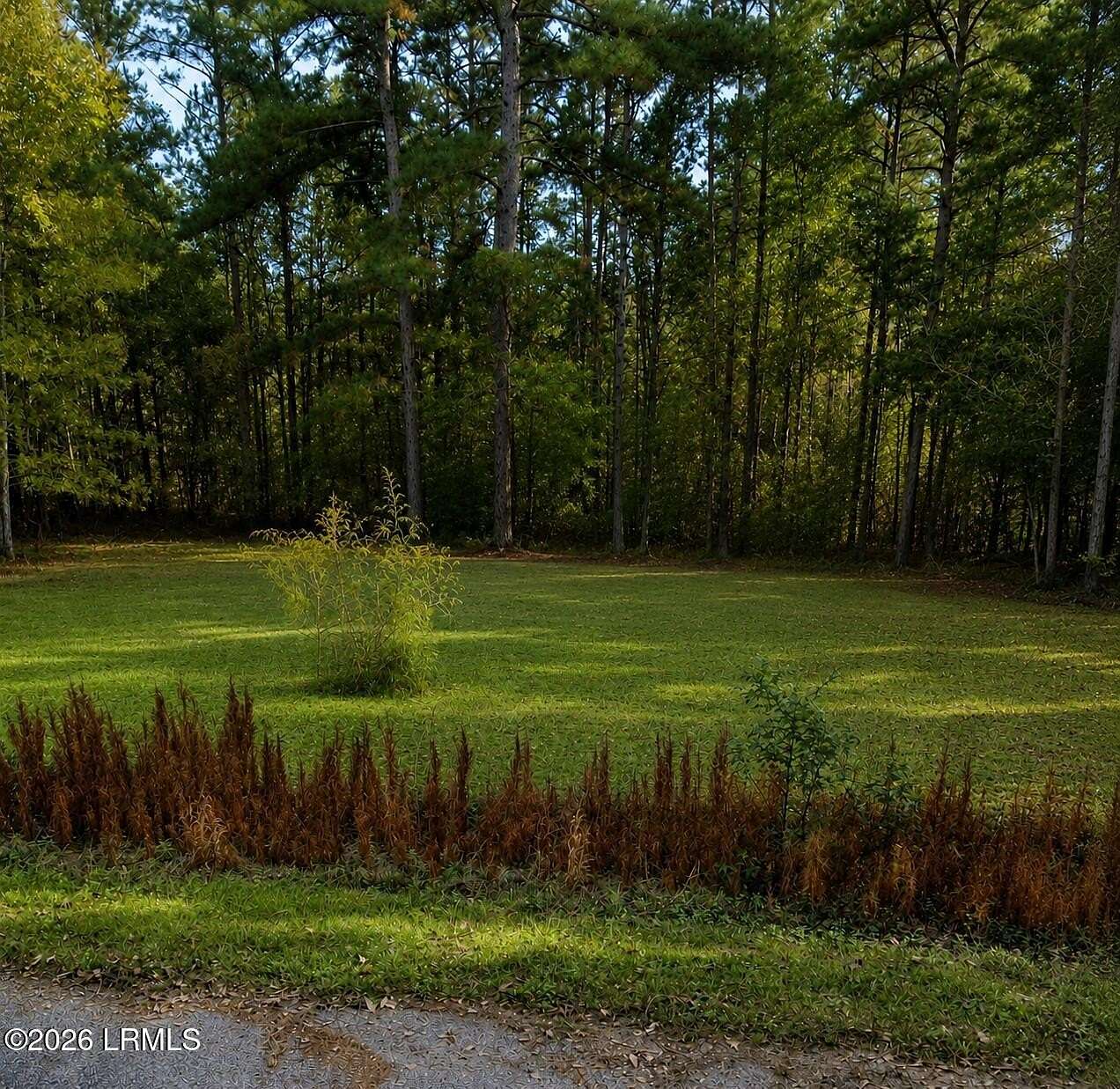 0.26 Acres of Residential Land for Sale in Fairfax, South Carolina