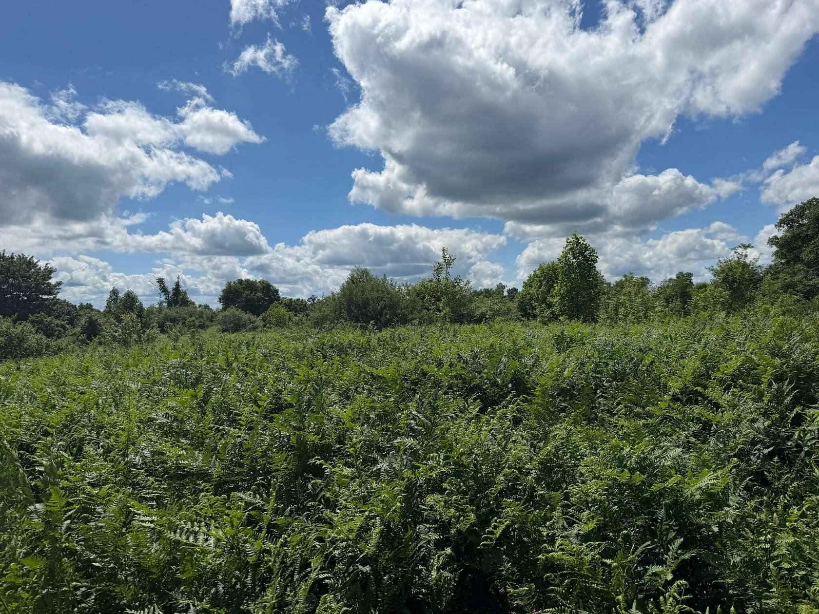 76.5 Acres of Recreational Land for Sale in Quinwood, West Virginia