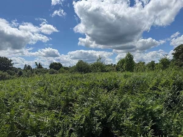 76.5 Acres of Recreational Land for Sale in Quinwood, West Virginia