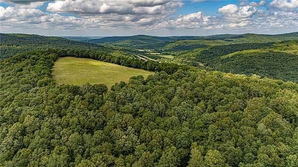 81.4 Acres of Recreational & Residential Land for Sale in Winslow, Arkansas