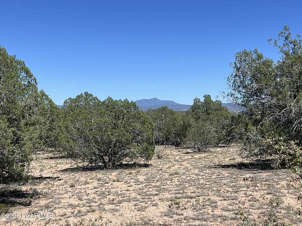 40 Acres of Land for Sale in Ash Fork, Arizona