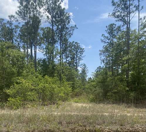 83 Acres of Recreational Land for Sale in Freeport, Florida