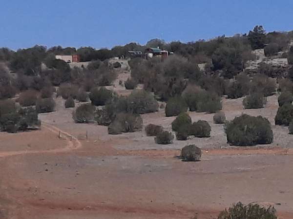 36.1 Acres of Land for Sale in Seligman, Arizona