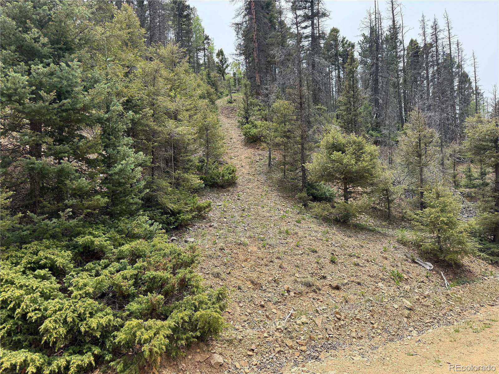 6 Acres of Residential Land for Sale in Fort Garland, Colorado