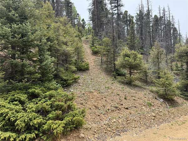 6 Acres of Residential Land for Sale in Fort Garland, Colorado