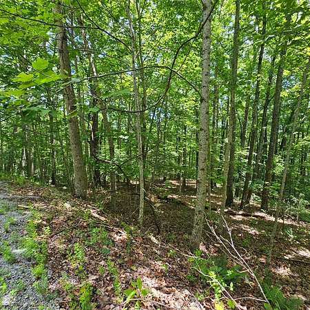 2.36 Acres of Residential Land for Sale in Dunlap, Tennessee