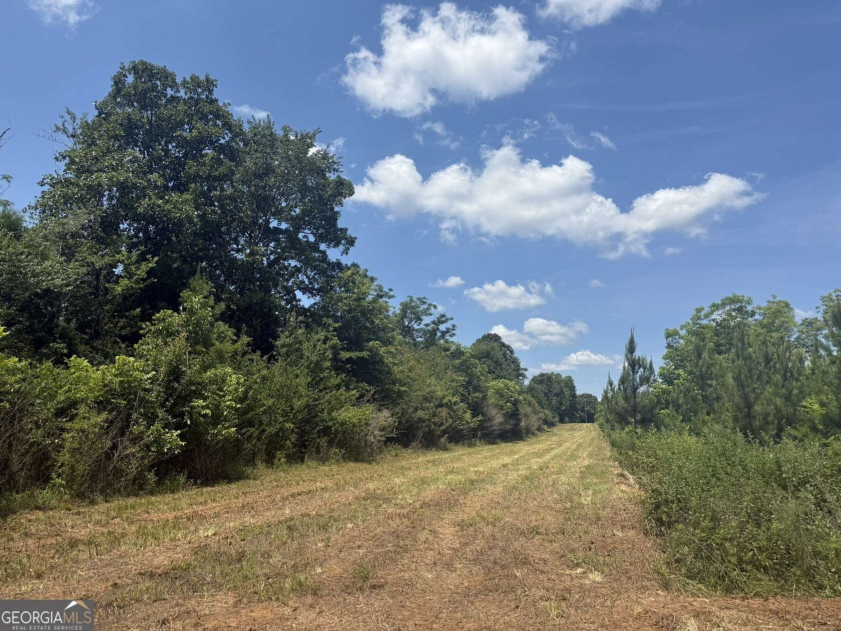 3 Acres of Land for Sale in Cuthbert, Georgia