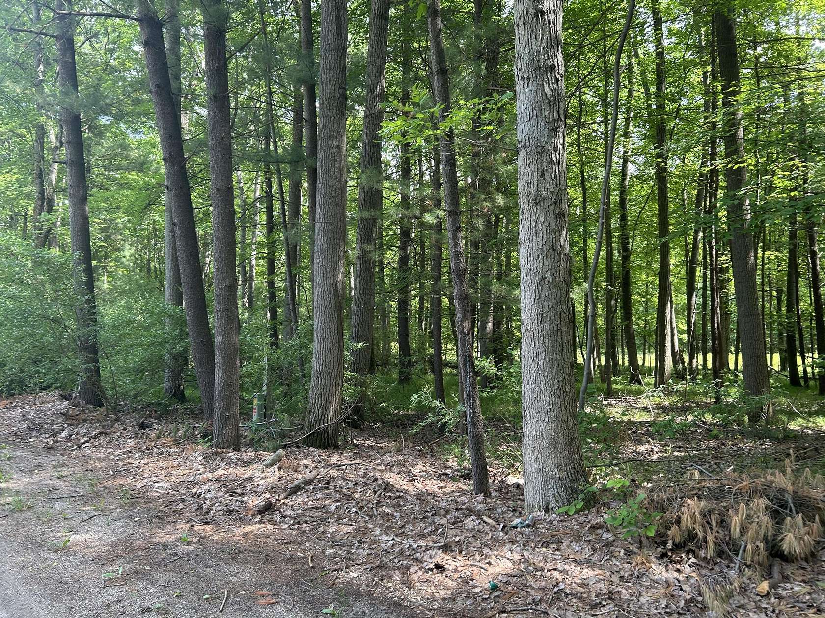 0.39 Acres of Land for Sale in Canadian Lakes, Michigan