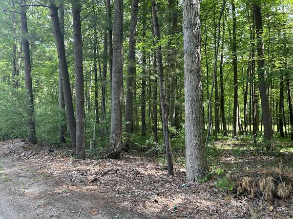 0.39 Acres of Land for Sale in Canadian Lakes, Michigan