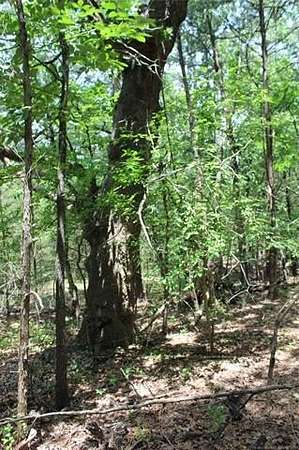 3.56 Acres of Land for Sale in Antlers, Oklahoma