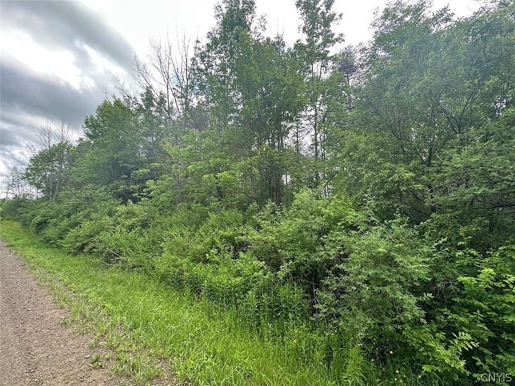 5 Acres of Residential Land for Sale in Angelica, New York