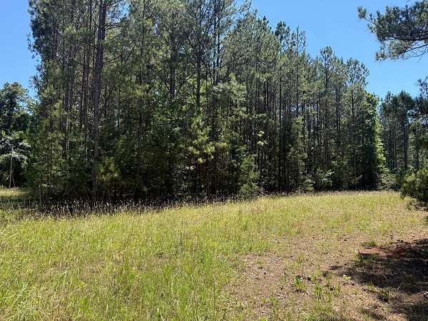 2 Acres of Residential Land for Sale in Abbeville, South Carolina