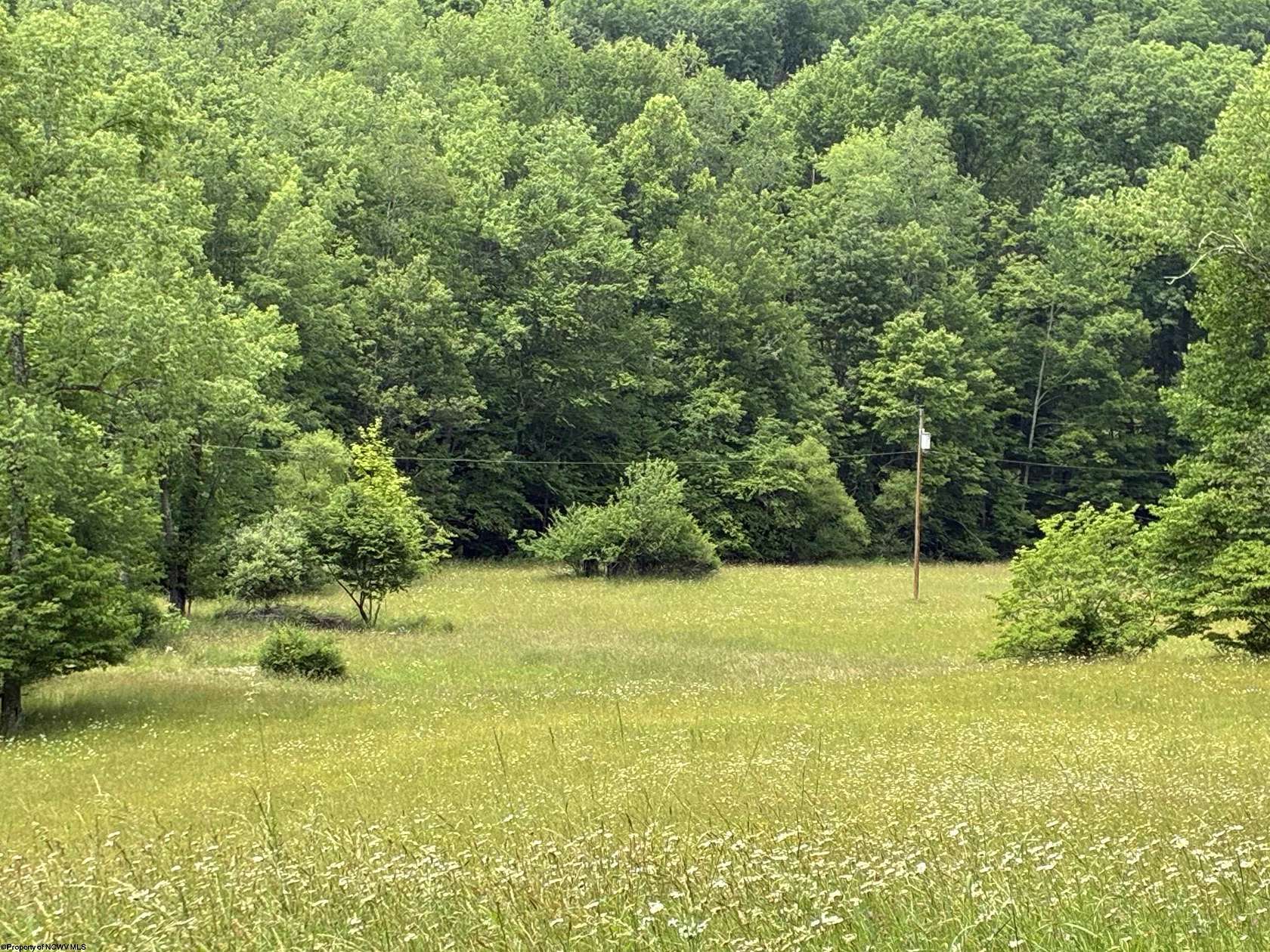 25.3 Acres of Agricultural Land for Sale in Crawford, West Virginia