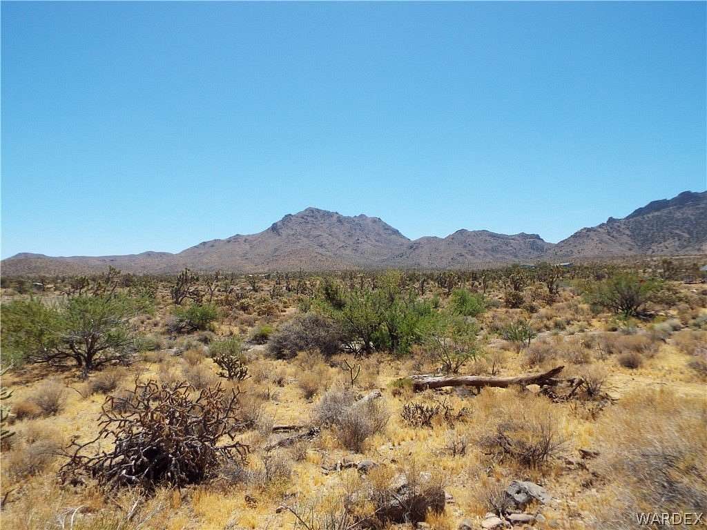 1 Acre of Residential Land for Sale in Dolan Springs, Arizona
