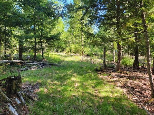 21.5 Acres of Recreational & Residential Land for Sale in China, Maine