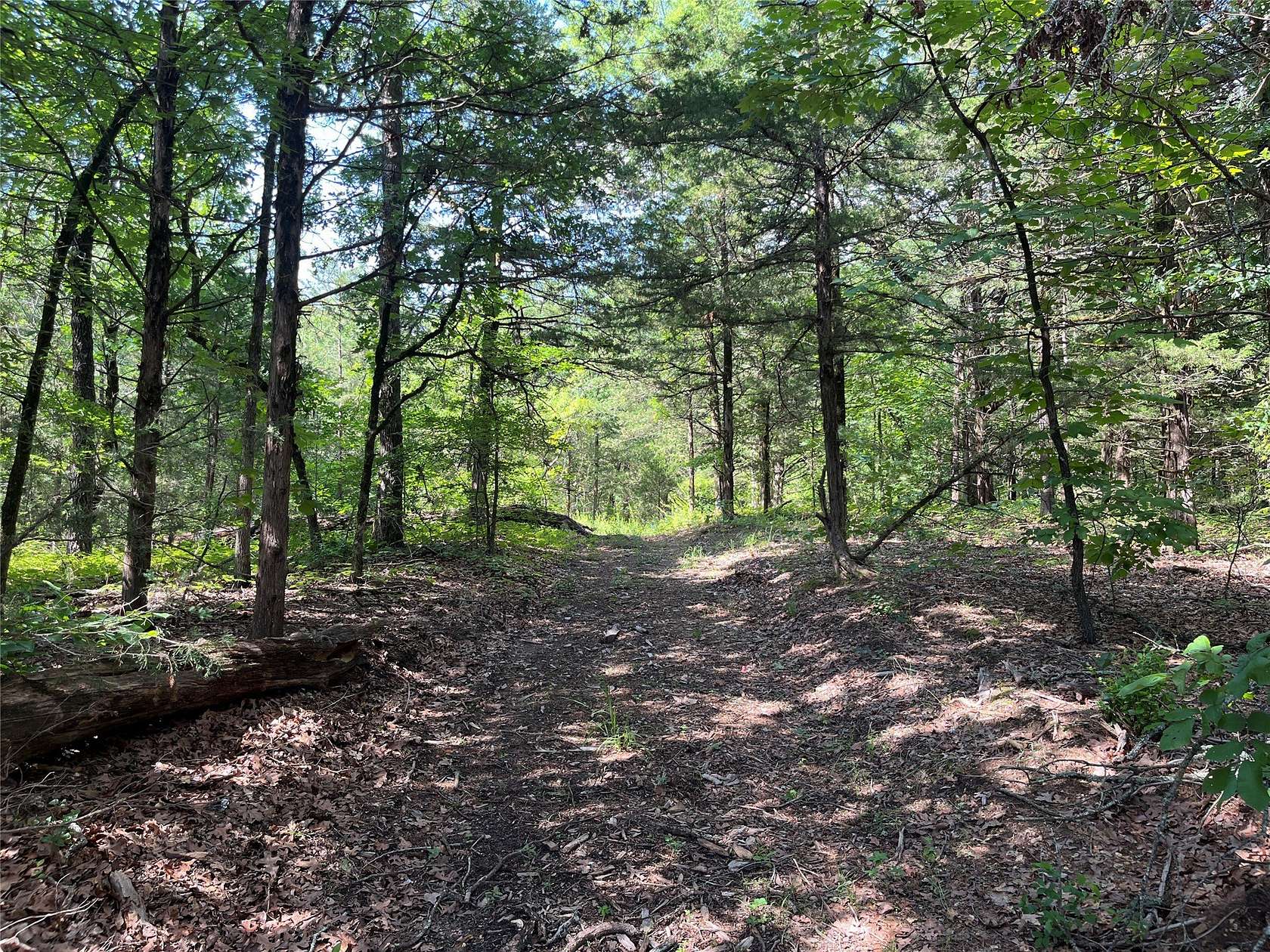 27 Acres of Recreational & Residential Land for Sale in Monkstown, Texas