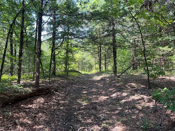 27 Acres of Recreational & Residential Land for Sale in Monkstown, Texas
