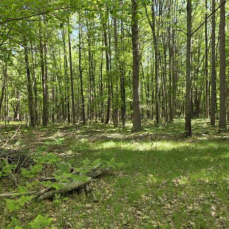 14.7 Acres of Land for Sale in Harrisville, Michigan