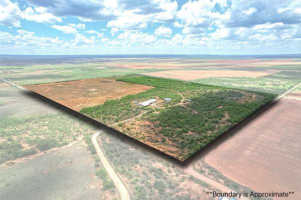 118 Acres of Land with Home for Sale in Trent, Texas