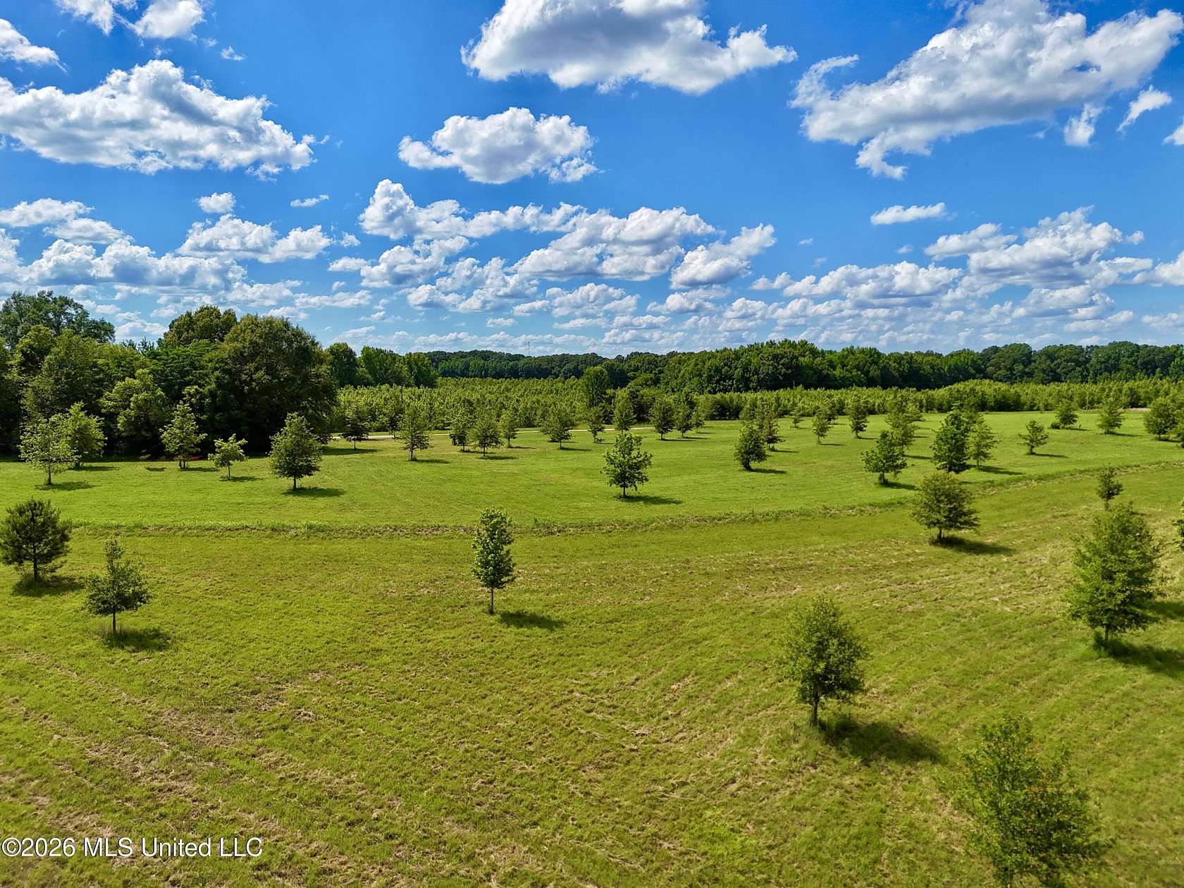 12.1 Acres of Land for Sale in Madison, Mississippi