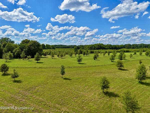 12.1 Acres of Land for Sale in Madison, Mississippi