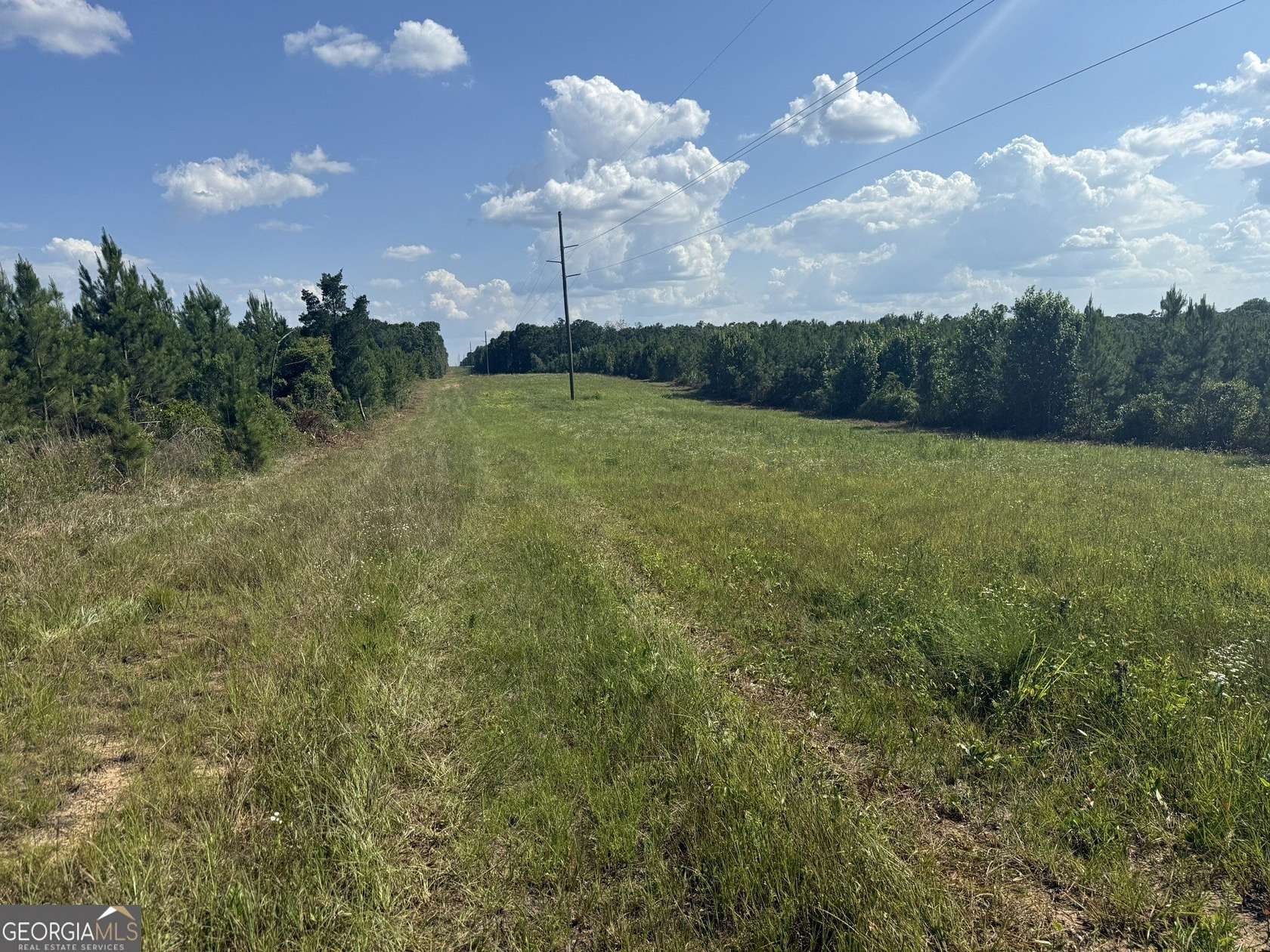 12.4 Acres of Recreational Land for Sale in Cuthbert, Georgia