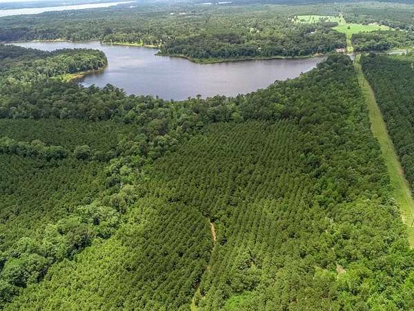 119 Acres of Recreational Land for Sale in Avinger, Texas
