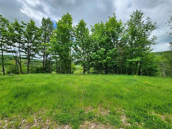 30 Acres of Recreational Land for Sale in Sabinsville, Pennsylvania
