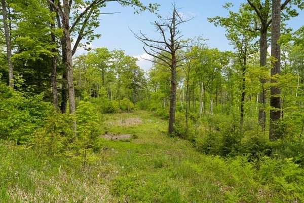 5.35 Acres of Residential Land for Sale in Canaan, New Hampshire