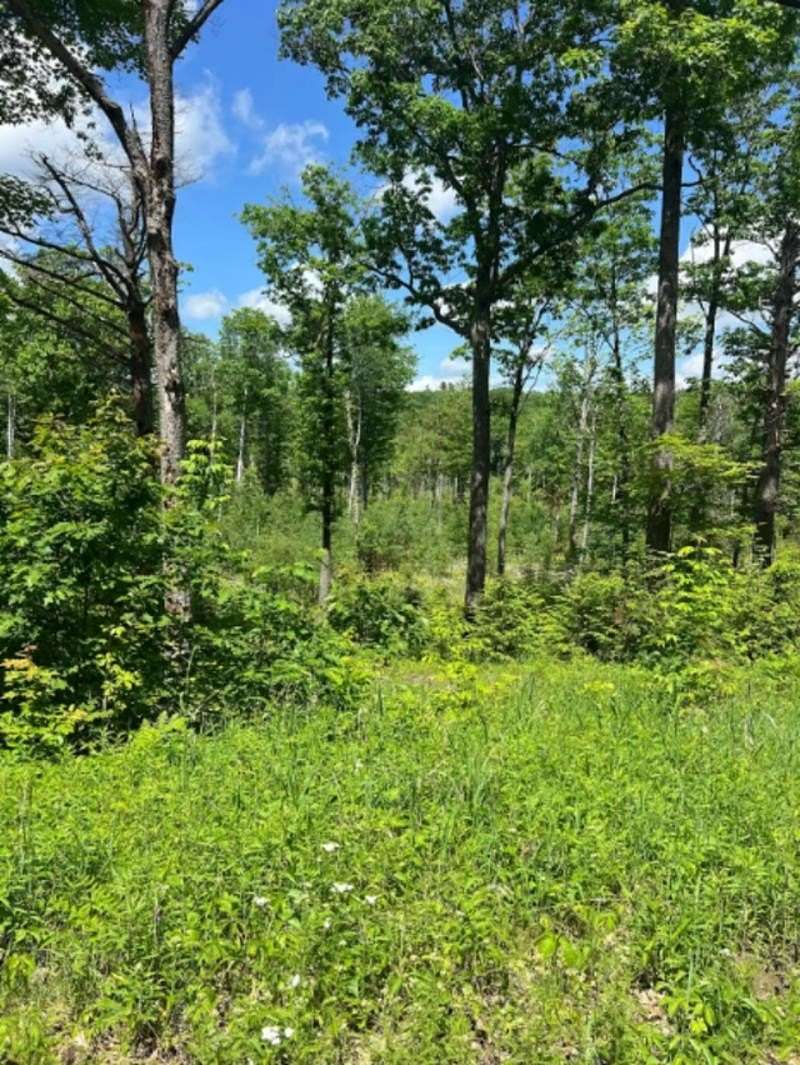 27.3 Acres of Recreational & Residential Land for Sale in Canaan, New Hampshire