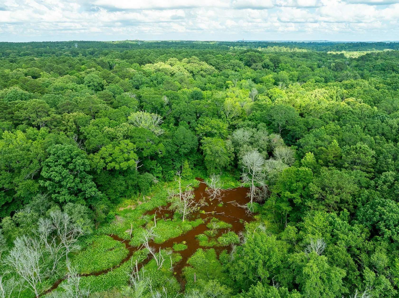 36 Acres of Recreational & Residential Land for Sale in Tatum, Texas