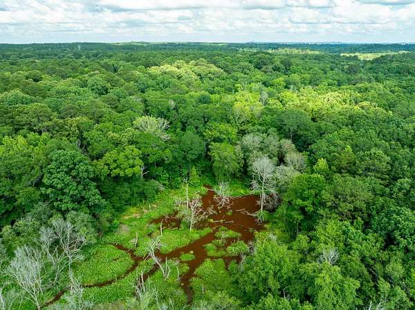 36 Acres of Recreational & Residential Land for Sale in Tatum, Texas