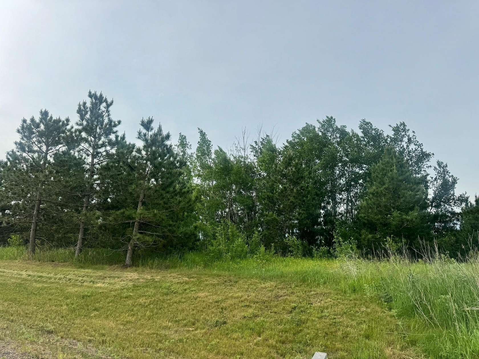 0.59 Acres of Residential Land for Sale in Nevis, Minnesota
