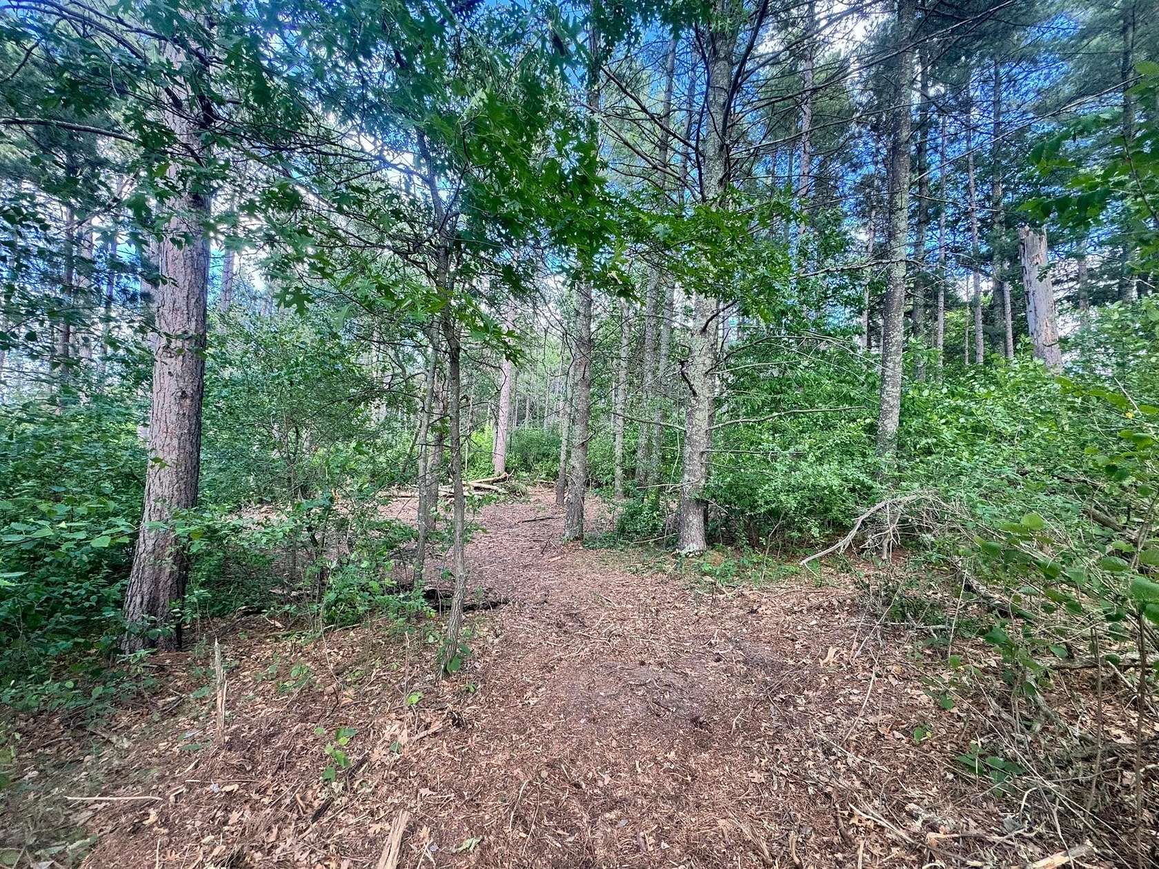 0.64 Acres of Residential Land for Sale in Nevis, Minnesota