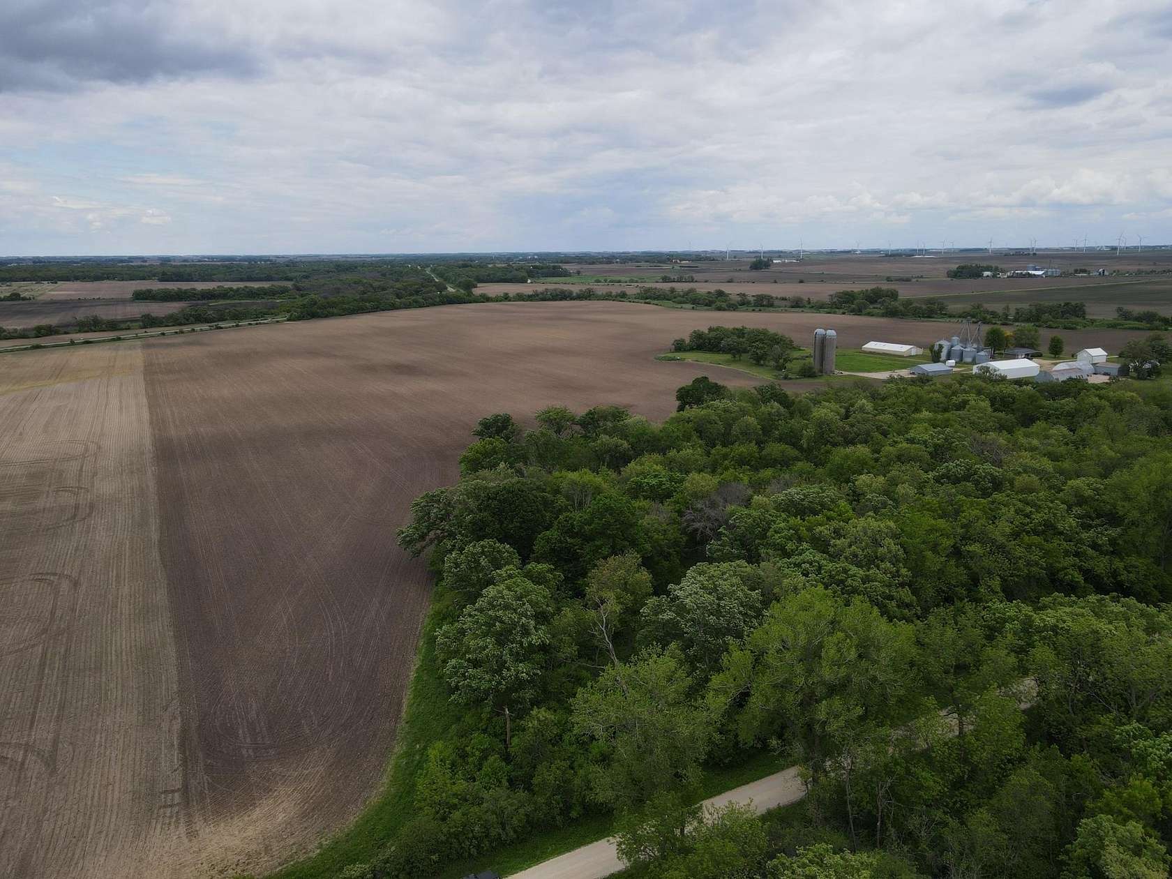 195 Acres of Land for Sale in Le Roy, Minnesota