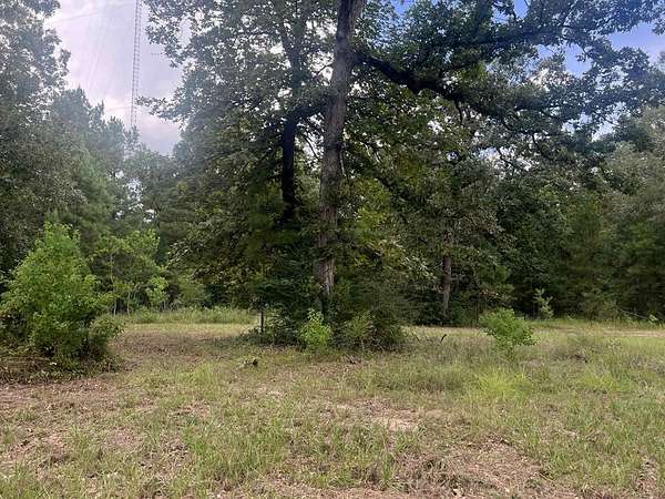3.89 Acres of Land for Sale in Zavalla, Texas