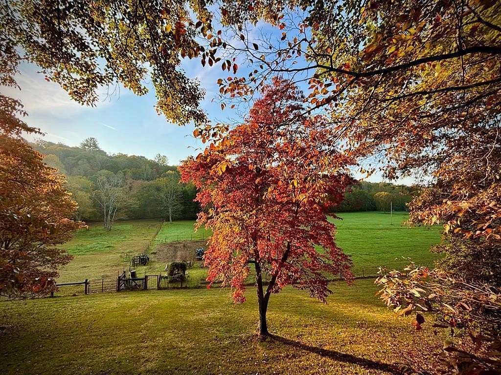 15.3 Acres of Improved Land for Sale in Mineral Bluff, Georgia