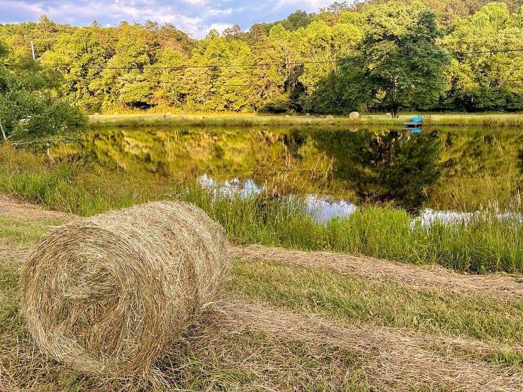 15.3 Acres of Improved Land for Sale in Mineral Bluff, Georgia