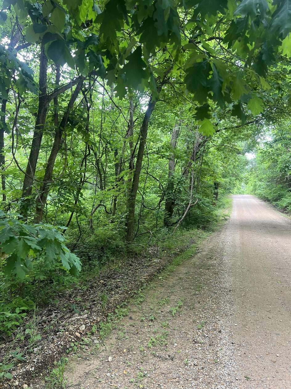 18.5 Acres of Land for Sale in Ava, Missouri
