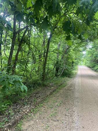 18.5 Acres of Land for Sale in Ava, Missouri