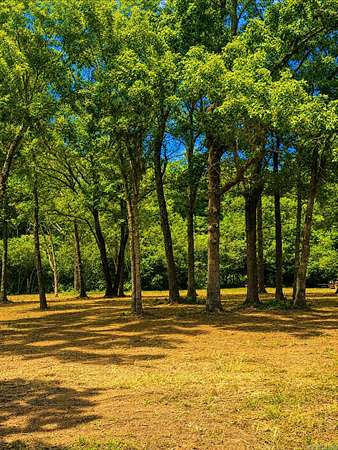 4 Acres of Residential Land for Sale in Clinton, Arkansas